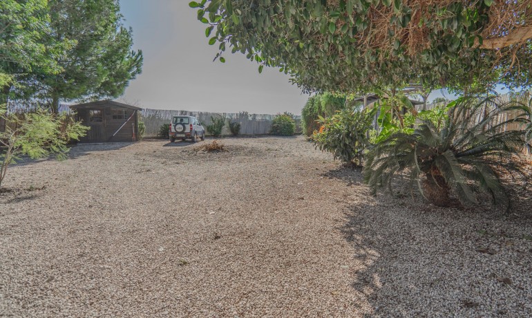 Sale - Finca / Country Property -
Orihuela - San Bartolome