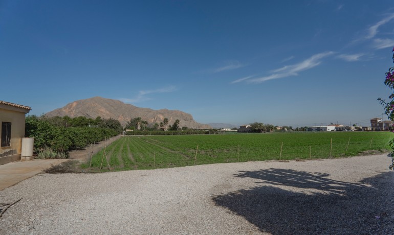 Sale - Finca / Country Property -
Orihuela - San Bartolome