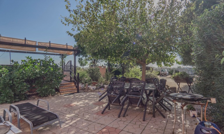 Sale - Finca / Country Property -
Orihuela - San Bartolome