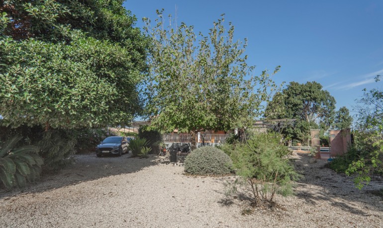 Sale - Finca / Country Property -
Orihuela - San Bartolome
