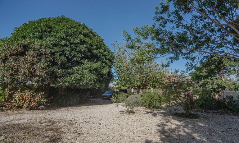 Sale - Finca / Country Property -
Orihuela - San Bartolome