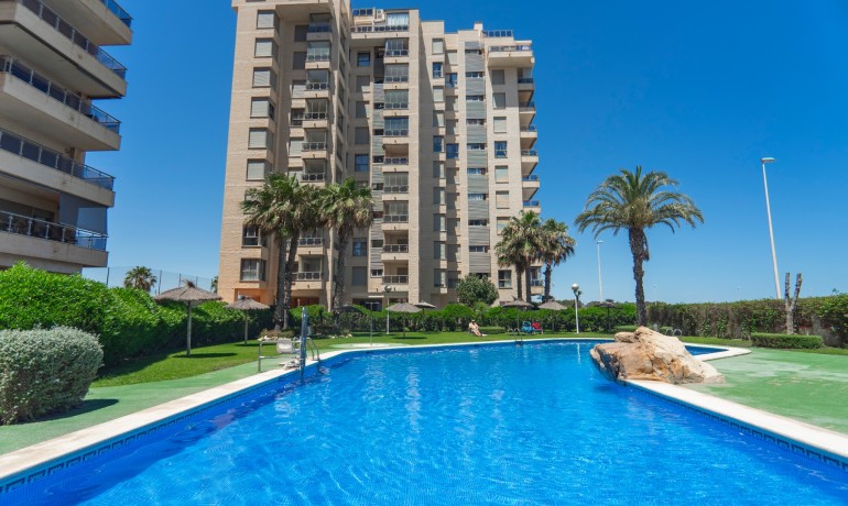 Sale - Apartment / Flat -
Guardamar del Segura - Guardamar del Segura - Town
