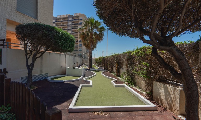 Sale - Apartment / Flat -
Guardamar del Segura - Guardamar del Segura - Town