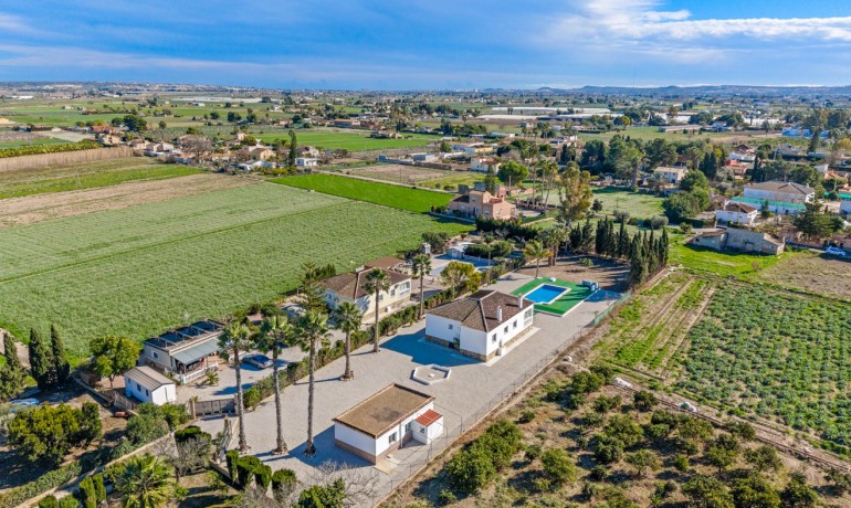 Sale - Finca / Country Property -
Dolores - Dolores - Country