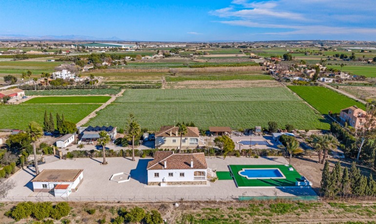 Sale - Finca / Country Property -
Dolores - Dolores - Country