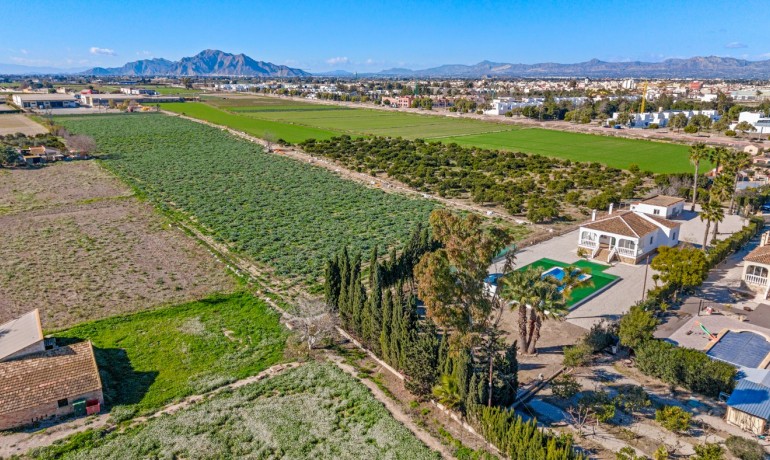 Sale - Finca / Country Property -
Dolores - Dolores - Country