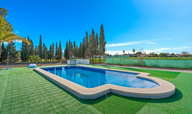 Sale - Finca / Country Property -
Dolores - Dolores - Country