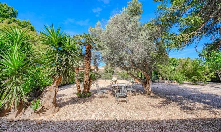 Sale - Finca / Country Property -
Rojales - Rojales - Country