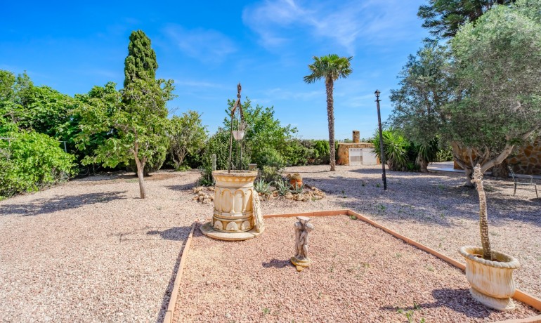 Sale - Finca / Country Property -
Rojales - Rojales - Country