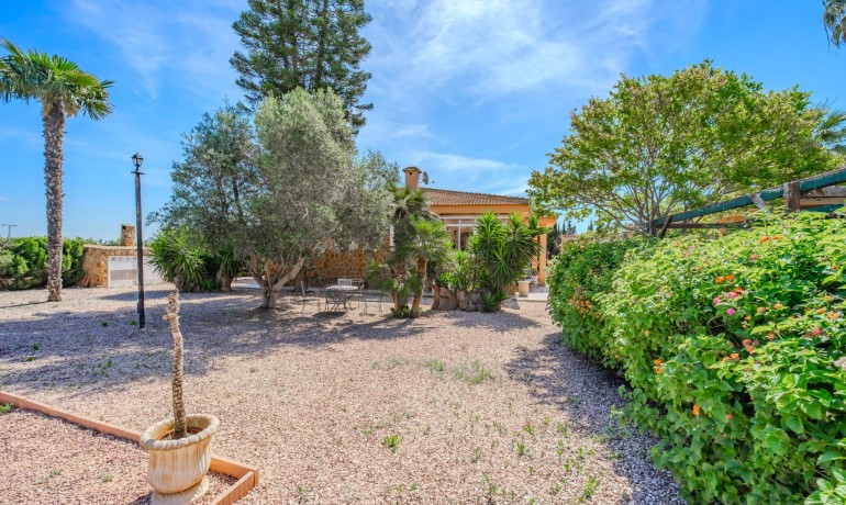 Sale - Finca / Country Property -
Rojales - Rojales - Country