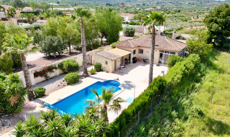 Venta - Villa -
Hondon de los frailes