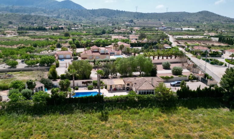 Venta - Villa -
Hondon de los frailes