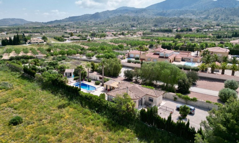 Venta - Villa -
Hondon de los frailes