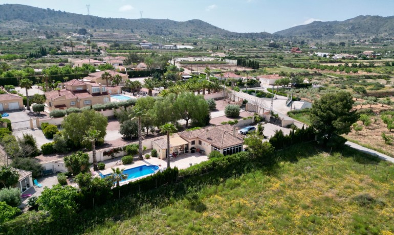 Venta - Villa -
Hondon de los frailes