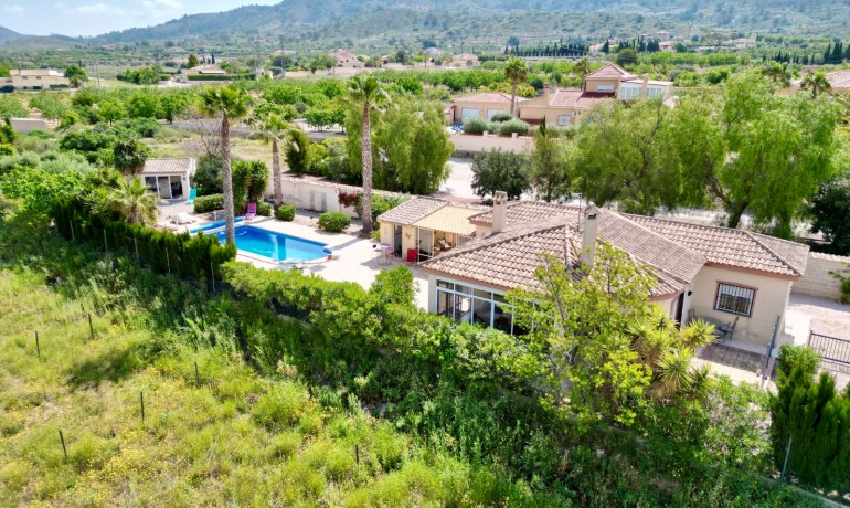Venta - Villa -
Hondon de los frailes