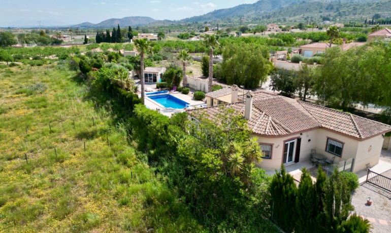 Venta - Villa -
Hondon de los frailes