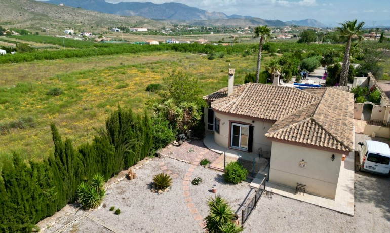 Venta - Villa -
Hondon de los frailes