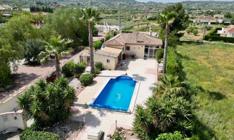 Venta - Villa -
Hondon de los frailes