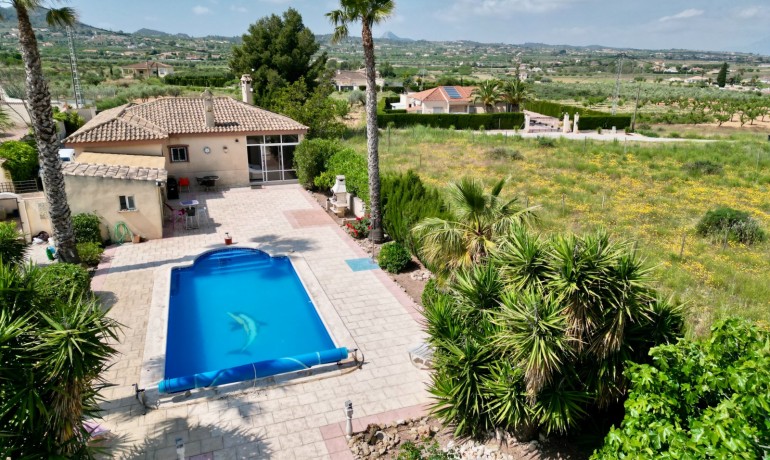 Venta - Villa -
Hondon de los frailes