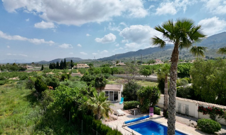 Venta - Villa -
Hondon de los frailes