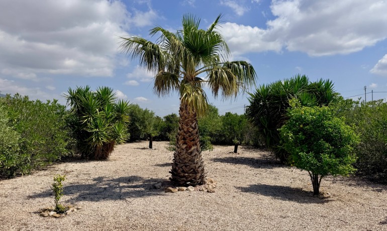 Venta - Villa -
Hondon de los frailes