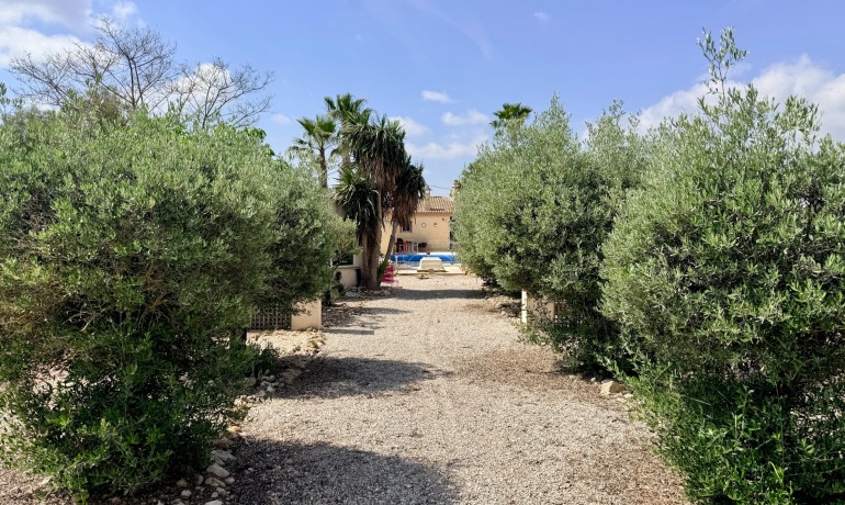 Venta - Villa -
Hondon de los frailes