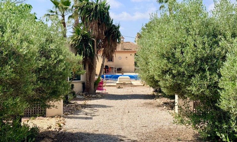 Venta - Villa -
Hondon de los frailes