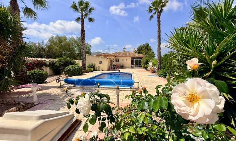 Venta - Villa -
Hondon de los frailes