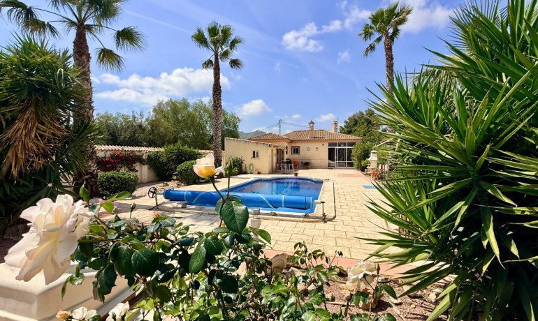 Venta - Villa -
Hondon de los frailes