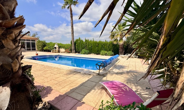 Venta - Villa -
Hondon de los frailes