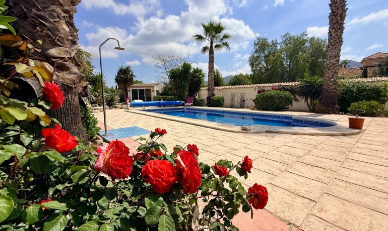 Venta - Villa -
Hondon de los frailes