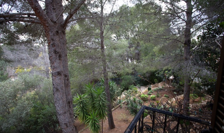 Sale - Villa -
Jávea / Xàbia - Montgó - Ermita