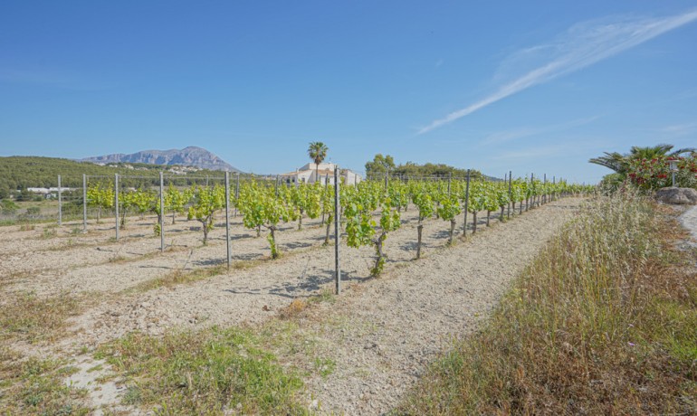 Sale - Farm -
Benitachell / El Poble Nou de Benitatxell - Centro