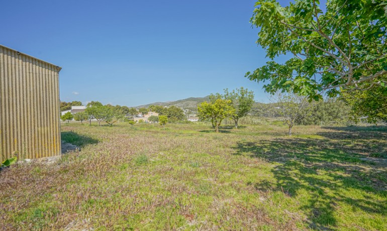 Sale - Farm -
Benitachell / El Poble Nou de Benitatxell - Centro