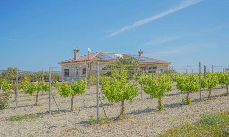 Sale - Farm -
Benitachell / El Poble Nou de Benitatxell - Centro