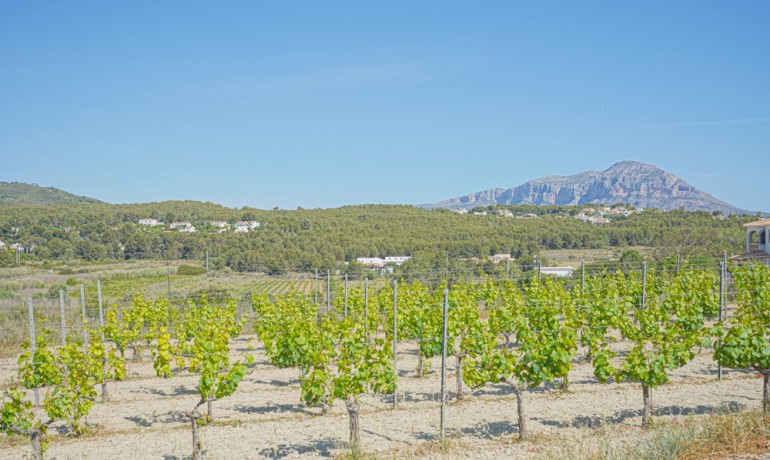 Sale - Farm -
Benitachell / El Poble Nou de Benitatxell - Centro