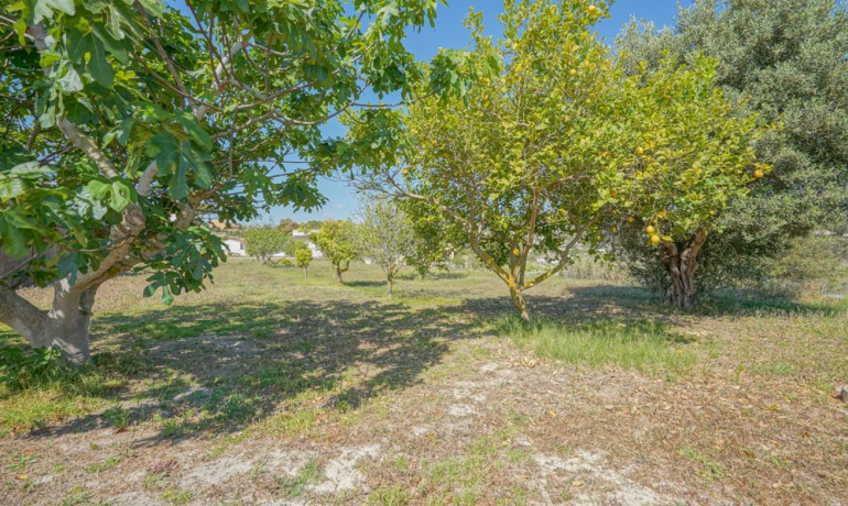 Sale - Farm -
Benitachell / El Poble Nou de Benitatxell - Centro