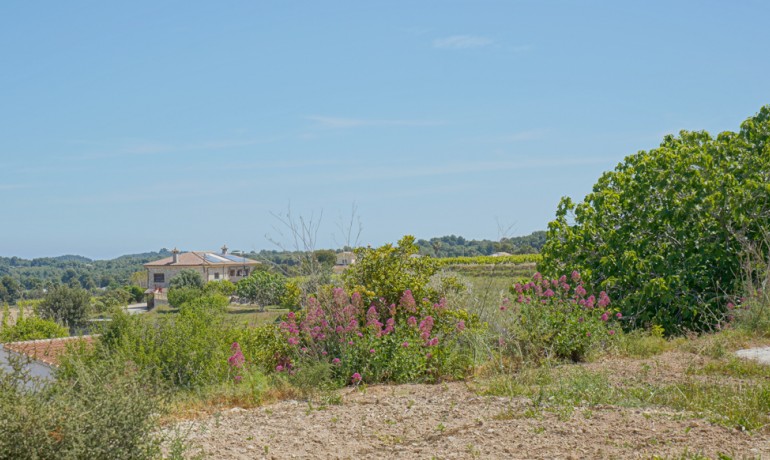 Sale - Farm -
Benitachell / El Poble Nou de Benitatxell - Centro