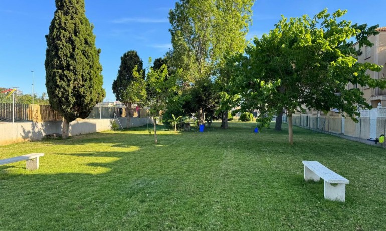 Sale - Apartment / Flat -
La Siesta - El Salado - Torreta - La Siesta