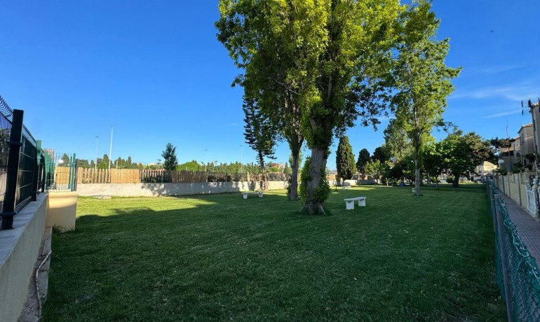 Sale - Apartment / Flat -
La Siesta - El Salado - Torreta - La Siesta