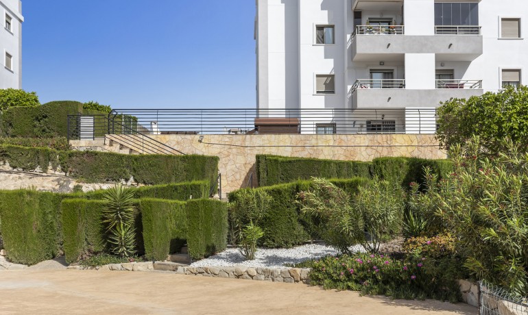 Sale - Apartment / Flat -
San Miguel de Salinas* - Inland