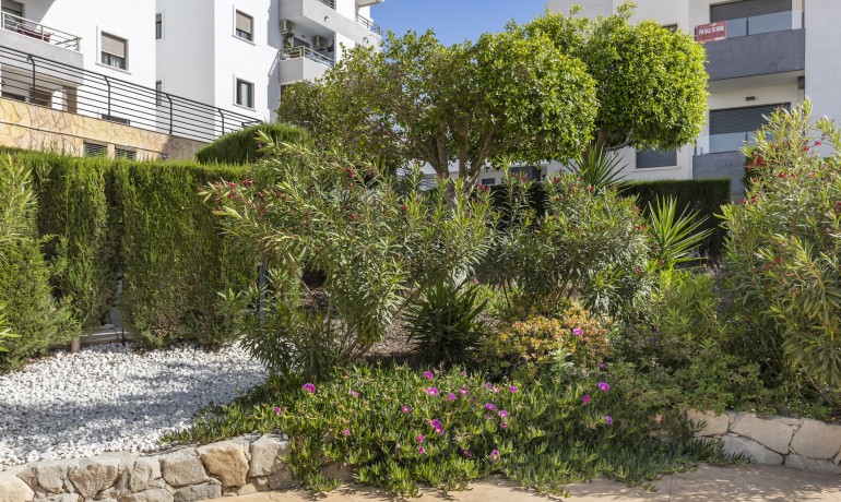 Sale - Apartment / Flat -
San Miguel de Salinas* - Inland