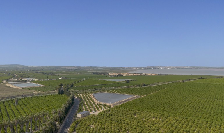 Sale - Apartment / Flat -
San Miguel de Salinas* - Inland