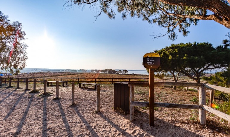 Sale - Apartment / Flat -
Torrevieja* - La Siesta - El Salado - Torreta