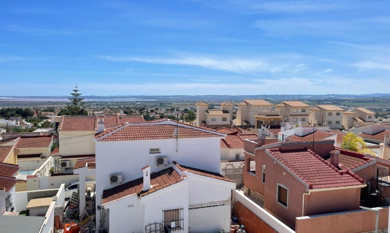 Sale - House -
Ciudad Quesada - Altos de Quesada