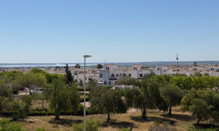 Sale - House -
Los Montesinos - Entre Naranjos / Vistabella Golf