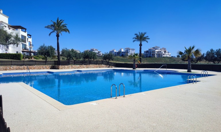 Sale - Apartment / Flat -
Hacienda Riquelme Golf Resort - Hacienda Riquelme Golf Resort - Centre