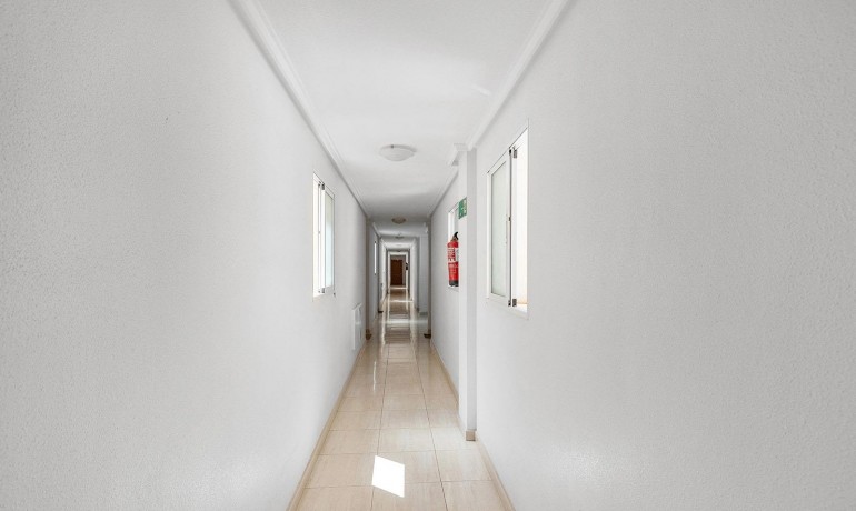 Sale - Apartment / Flat -
Torrevieja* - Estacion de autobuses