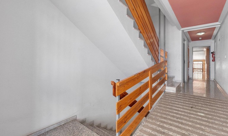 Sale - Apartment / Flat -
Torrevieja* - Estacion de autobuses
