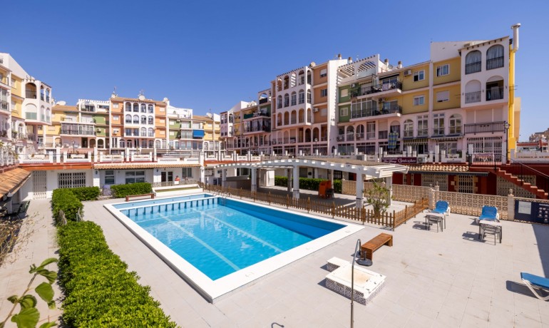 Sale - Apartment / Flat -
Torrevieja* - Mar azul